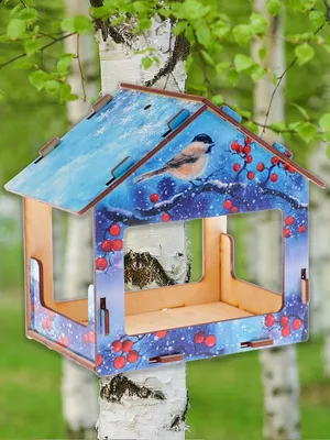 Икра Кета - Кормушка для птиц на окно