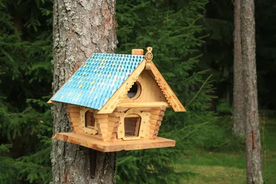 Кормушка для птиц из дерева с защитой от голубей