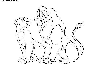 Раскраска Симба и Нала | Раскраски из мультфильма Король лев (Lion King)