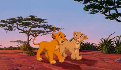 Свитшот 3D Симба и Нала. Король лев Взрослые и детские размеры  (ID#618271554), цена: 1200 ₴, купить на Prom.ua