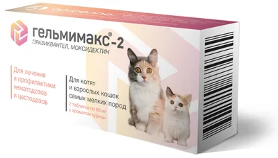 До какого возраста растут коты и кошки: Как растут котята по месяцам