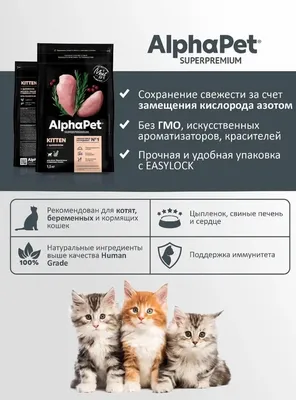 Почему кошка шипит на котенка? И что с этим делать?