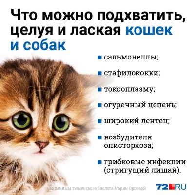 https://ngs.ru/text/animals/2022/05/03/71293085/