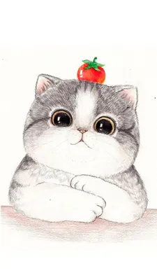 Самые милые нарисованные котики | Cute cat illustration, Cat art, Cat  painting