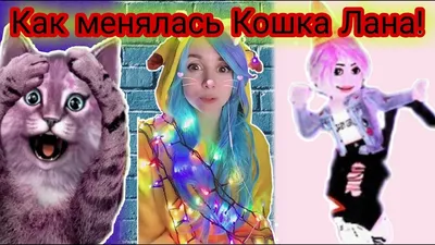 Кошка Лана - красивые картинки (70 фото)