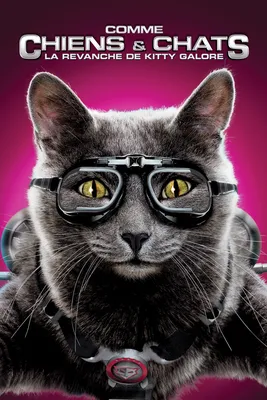 Кошки против собак 3: Лапы, объединяйтесь (2020): купить билет в кино |  расписание сеансов в Санкт-Петербурге на портале о кино «Киноафиша»