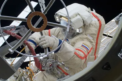 354 622 рез. по запросу «Космонавт» — изображения, стоковые фотографии,  трехмерные объекты и векторная графика | Shutterstock