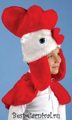 Детский карнавальный костюм ПЕТУШОК, ПЕТУХ для мальчика 4,5 лет. детский  новогодний костюм ПЕТУХА (ID#614441929), цена: 650 ₴, купить на Prom.ua