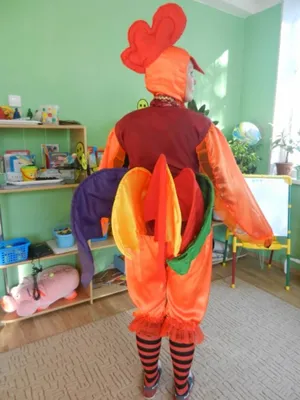 Красный Костюм Петуха для детей, Детский костюм для косплея, надувные  костюмы на Хэллоуин, карнавал, детское платье на день рождения с животными  | AliExpress