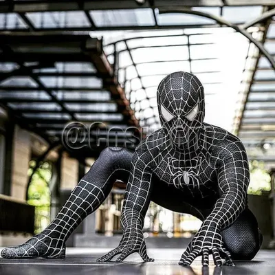 Костюм Человека-паука Tobey Maguire, черный/красный костюм паука Raimi,  костюм супергероя зентая для косплея, костюмы на Хэллоуин для  взрослых/детей | AliExpress
