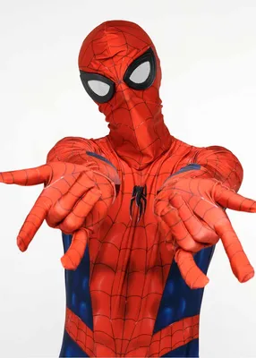 Костюм Человека паука для аниматора косплей вечеринка карнавал: 3 850 грн.  - Другая мужская одежда Сумы на Olx