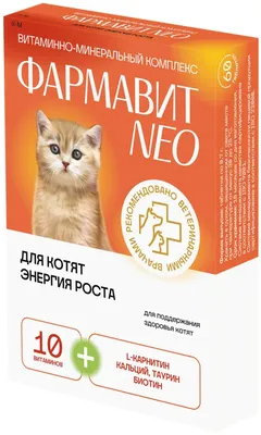 Выставка-продажа котят