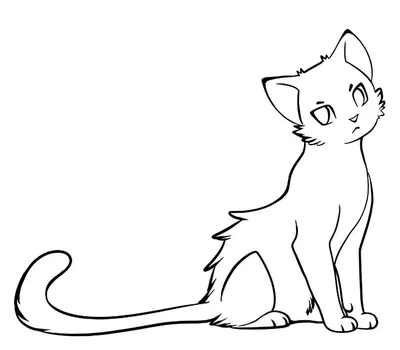 Зарисовки котиков | Пикабу