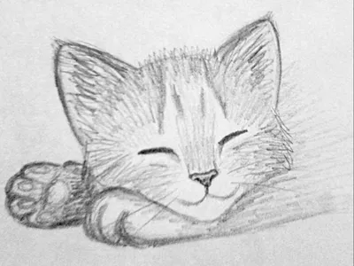 Я рисую котиков и всех-всех-всех. Маюми Ежевская - «Гид по рисованию милых  зверушек • Легкие рисунки для срисовки • Пошаговое создание рисунков на  каждой странице книги • Мой ребенок в восторге! Покажу,