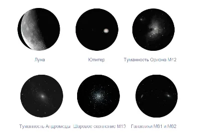 Интересные анкеты для знакомств, которые можно найти в соцсетях (14 фото) »  Триникси