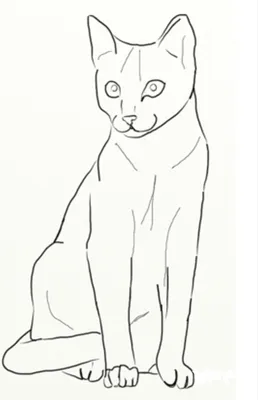 Кошек для срисовки - картинки и фото koshka.top