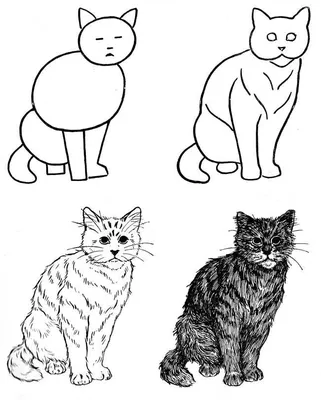 Рисунки кота Саймона для срисовки
