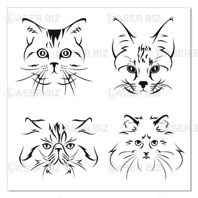 Раскраска Сибирская кошка | Раскраски кошек. Рисунки кошек, картинки кошек  Дитячі розфарбовки размалевки р… | Раскраски с животными, Раскраски,  Кошачий рисунок