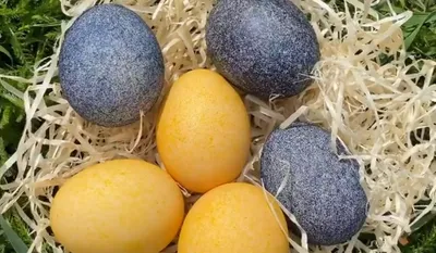 Почему на Пасху нужно красить яйца и что символизируют цвета и элементы  росписи