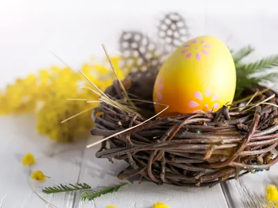 Пасхальные яйца: Украшение яиц на Пасху (+ ФОТО, Видео)