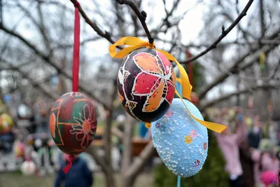 Яйца-крашенки на полянке в лесных цветах». Фото на конкурс «Светлая Пасха»  | bobruisk.ru
