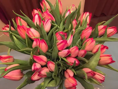 Красные тюльпаны, красивый букет | Tulip bouquet, Tulips, Flowers