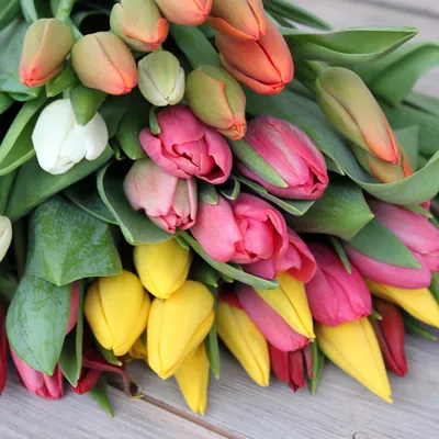 Красивые цветы тюльпаны. Очень красивая музыка, саксофон. Flowers tulips.  Podryga-on-line.ru - YouTube