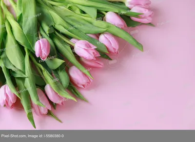 Скачать 1350x2400 тюльпаны, цветы, букет, красные, красиво обои, картинки  iphone 8+/7+/6s+/6+ for parallax