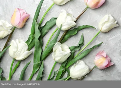 Самый красивый букет тюльпанов - красивые фото