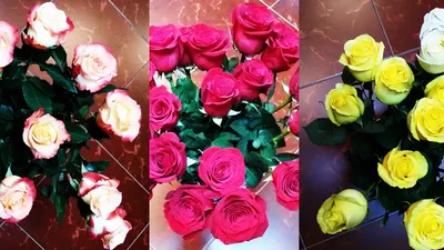 Какие цветы дарить на 8 марта женщинам