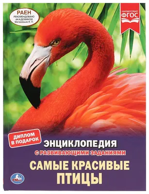 15 необычайно красивых птиц, о которых Вы, возможно, и не слышали |  Влюбленная в Крым | Дзен