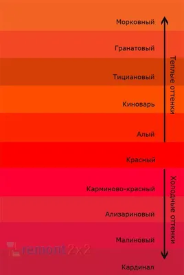 Какой цвет настоящий красный? | ༺ Полина Вахитова. Имидж ༻ | Дзен