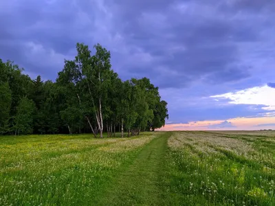 Красота русского леса | Пикабу