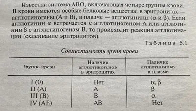 Хэллоуин кровь стена кровь фон, красный, Капля крови, Хэллоуин фон картинки  и Фото для бесплатной загрузки