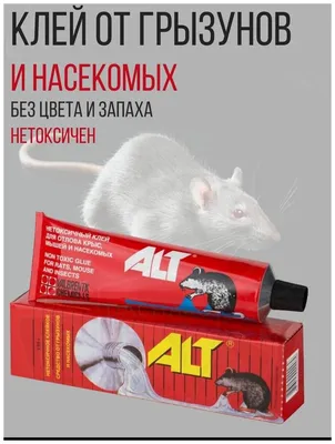 Крысогон Клеевая ловушка-книжка для крыс и мышей - купить с доставкой по  выгодным ценам в интернет-магазине OZON (728695600)