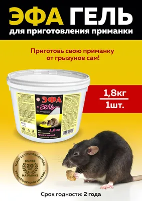 Клей от грызунов Eurogard от крыс, мышей и насекомых 135 г — купить по  низкой цене на Яндекс Маркете
