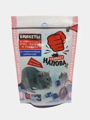 Как прогнать мышей и крыс из дома - действенные лайфхаки без яда и ловушек  | РБК Украина