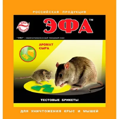 Пена приманка для уничтожения крыс Киллер Крыс отрава от крыс мышей  грызунов защита от вредителей | AliExpress