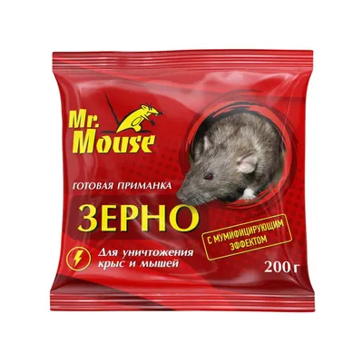 Крыса Дамбо - Зоомагазин онлайн Ekzotika-Zoo Винница