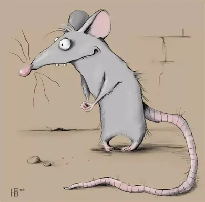 простой рисунок мультяшной крысы: 8 тыс изображений найдено в  Яндекс.Картинках | Mouse illustration, Cartoon drawings, Illustration  sketches