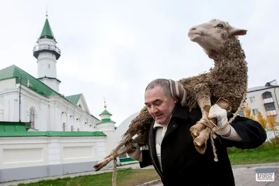 Республиканский центр татарской культуры в Марий Эл — Курбан Байрам