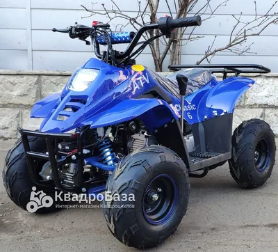 Выбираем квадроцикл на охоту – Polaris, BRP или CFMOTO | bibimot | Дзен