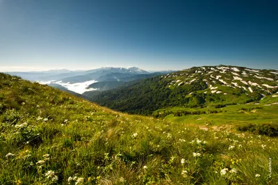 Вечная красота Лагонаки