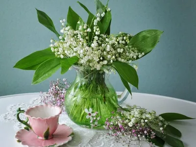 Ландыши в керамическом кашпо - заказать доставку цветов в Москве от Leto  Flowers
