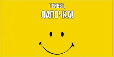 Купить ЛАПОЧКА. Средство для подмывания младенцев, 250 мл. в Калининграде  по низкой цене