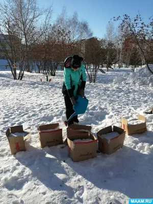 Снеговик и воздушные шарики из цветного льда. Постройки из снега (1 фото).  Воспитателям детских садов, школьным учителям и педагогам - Маам.ру