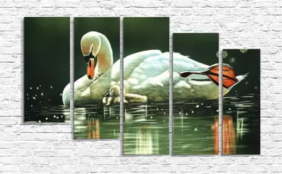 Картина маслом *Лебеди на пруду* (ID#806107108), цена: 300 ₴, купить на  Prom.ua