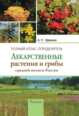 Раскраски лекарственные растения для детей с названиями - 32 фото