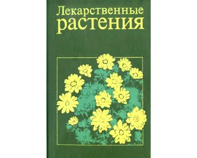 Дидактическая игра «Собери лекарственное растение» (4 фото). Воспитателям  детских садов, школьным учителям и педагогам - Маам.ру