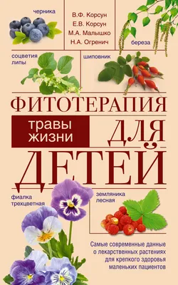 Подорожник. Воспитателям детских садов, школьным учителям и педагогам -  Маам.ру